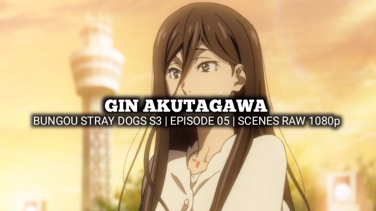 Who is Gin Akutagawa in Bungo Stray Dogs?