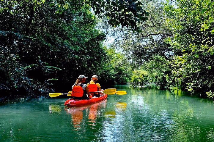 What is the Dragonfly by Stellar Kayaks?