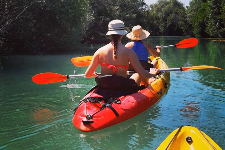 What is Dragonfly kayak?