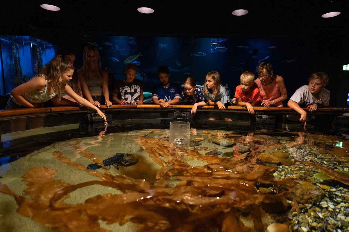What is a Danish Fisheries Museum?