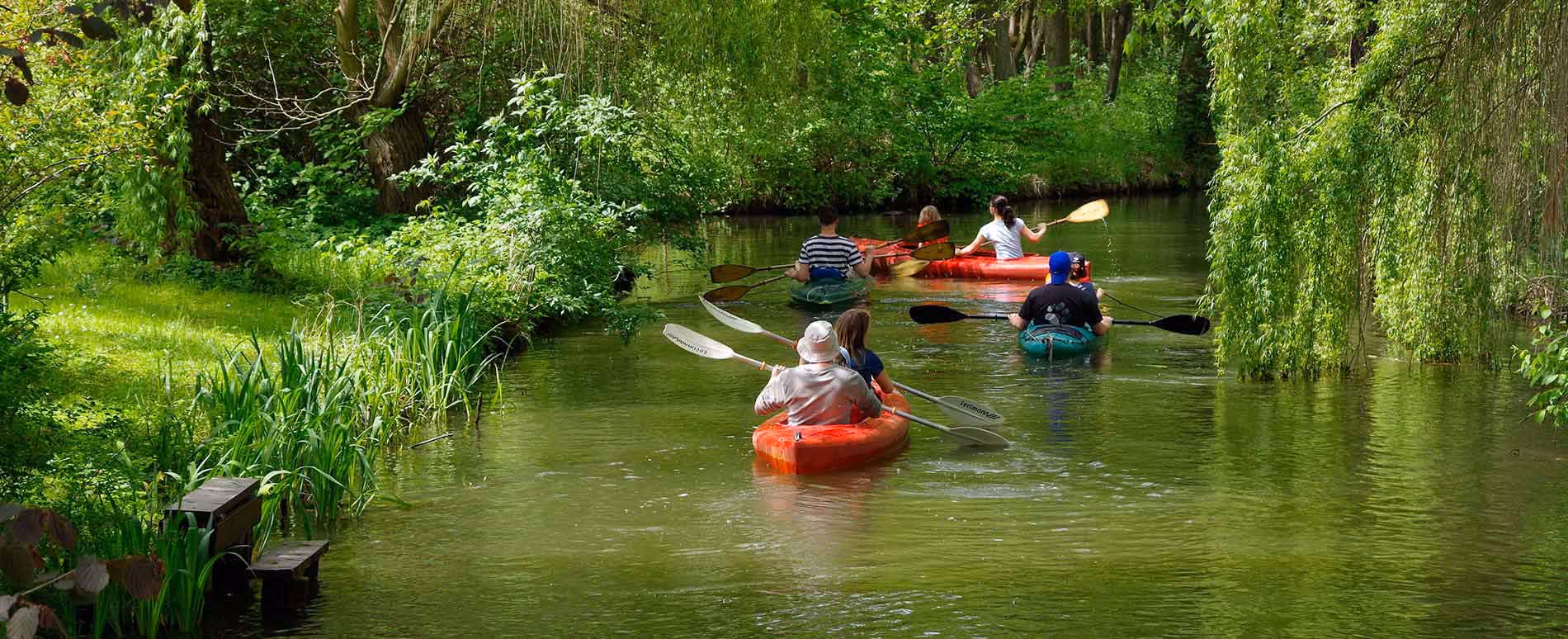 Wie kann man den Spreewald erkunden?