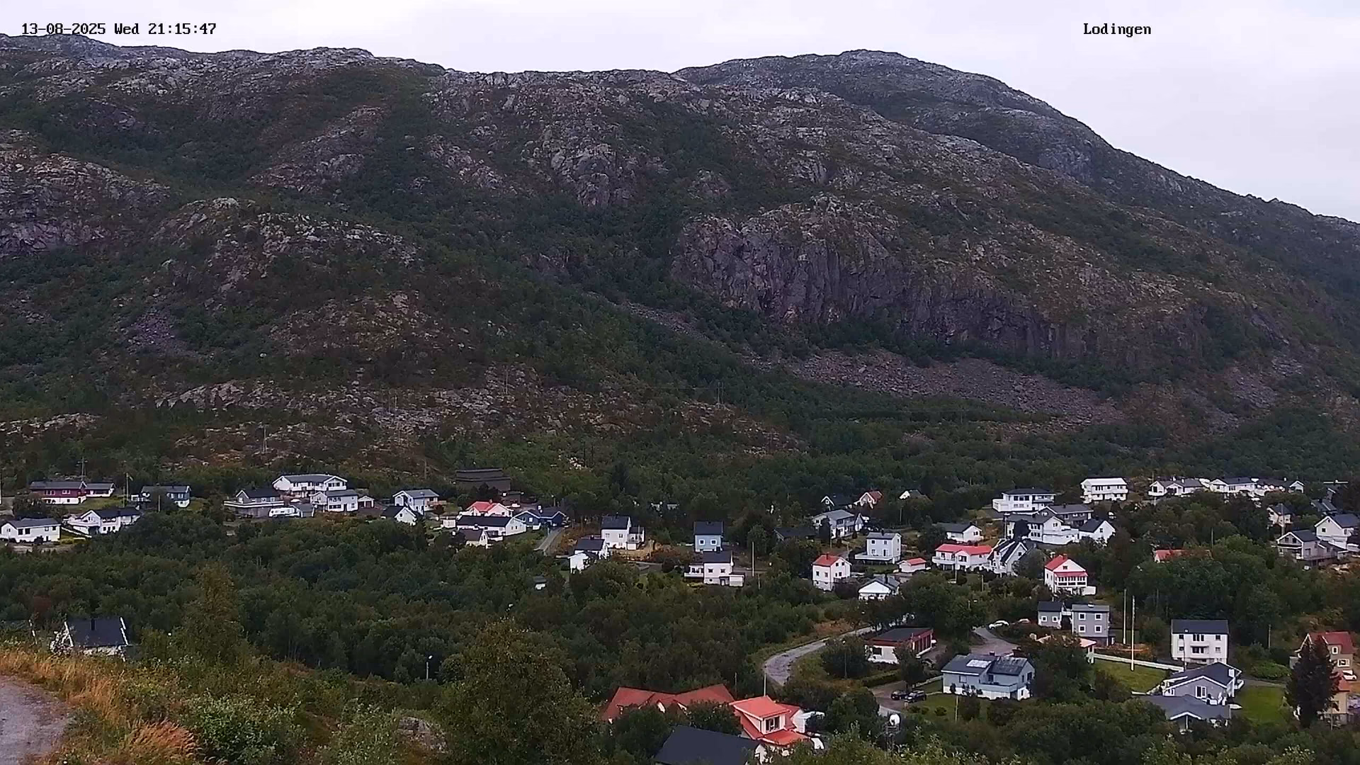 What is a live stream in Harstad?
